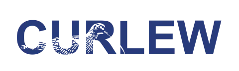 Curlew Capital